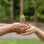 Junho Verde: conheça algumas dicas para preservar o Meio Ambiente