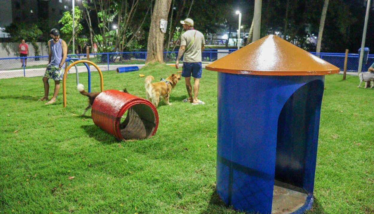 Salvador amplia espaços de lazer exclusivos para pets em praças da cidade