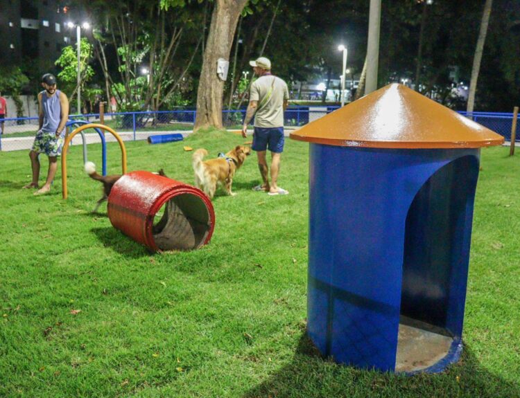 Salvador amplia espaços de lazer exclusivos para pets em praças da cidade