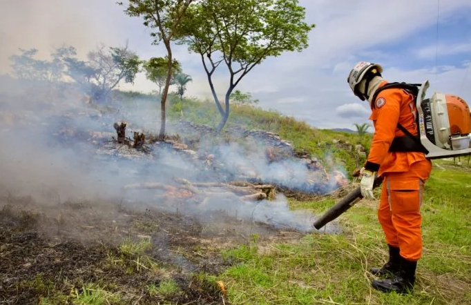 Secretaria do Meio Ambiente lança Reda com 46 vagas; saiba mais