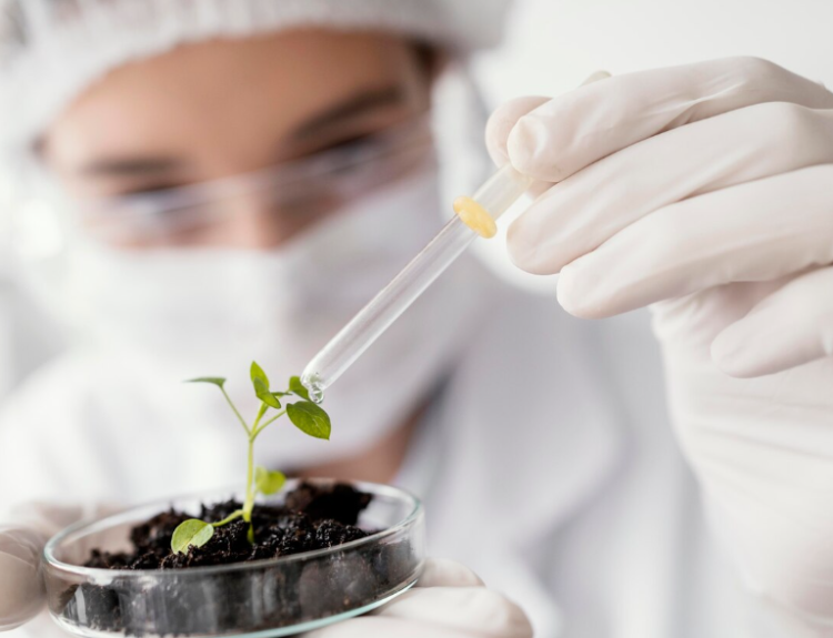 Vagas abertas para cursos de biotecnologia e segurança no trabalho; saiba como se inscrever